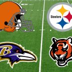 2017 AFC North Preview